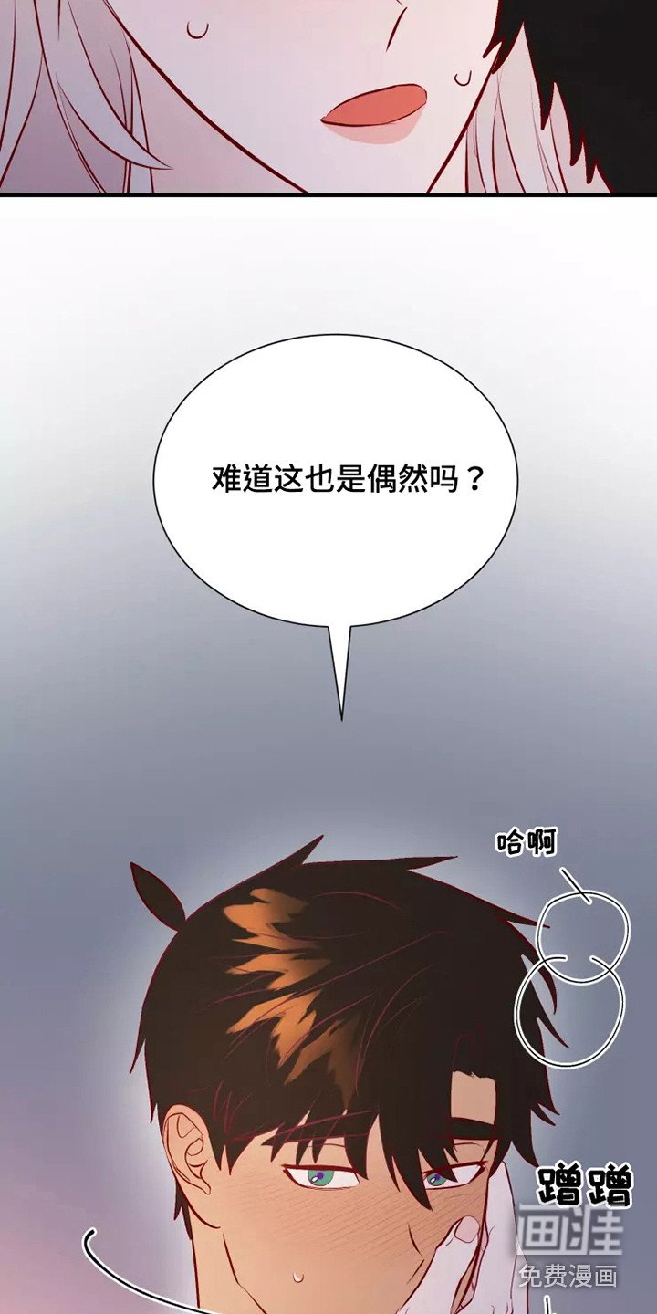 第51章：不是偶然