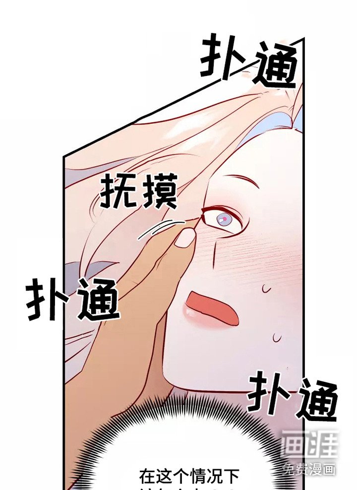 第51章：不是偶然