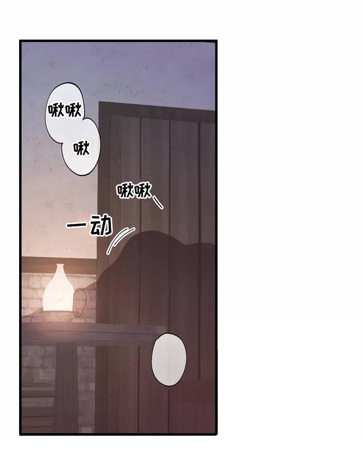 第51章：不是偶然