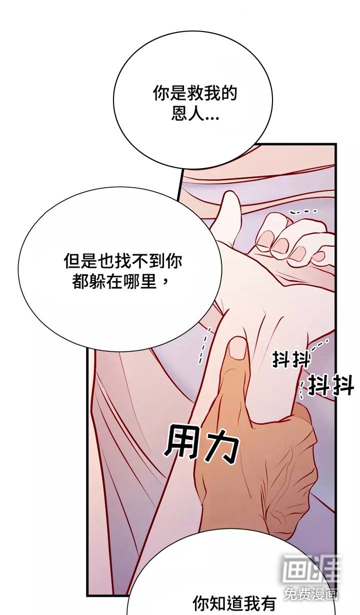 第52章：一见钟情