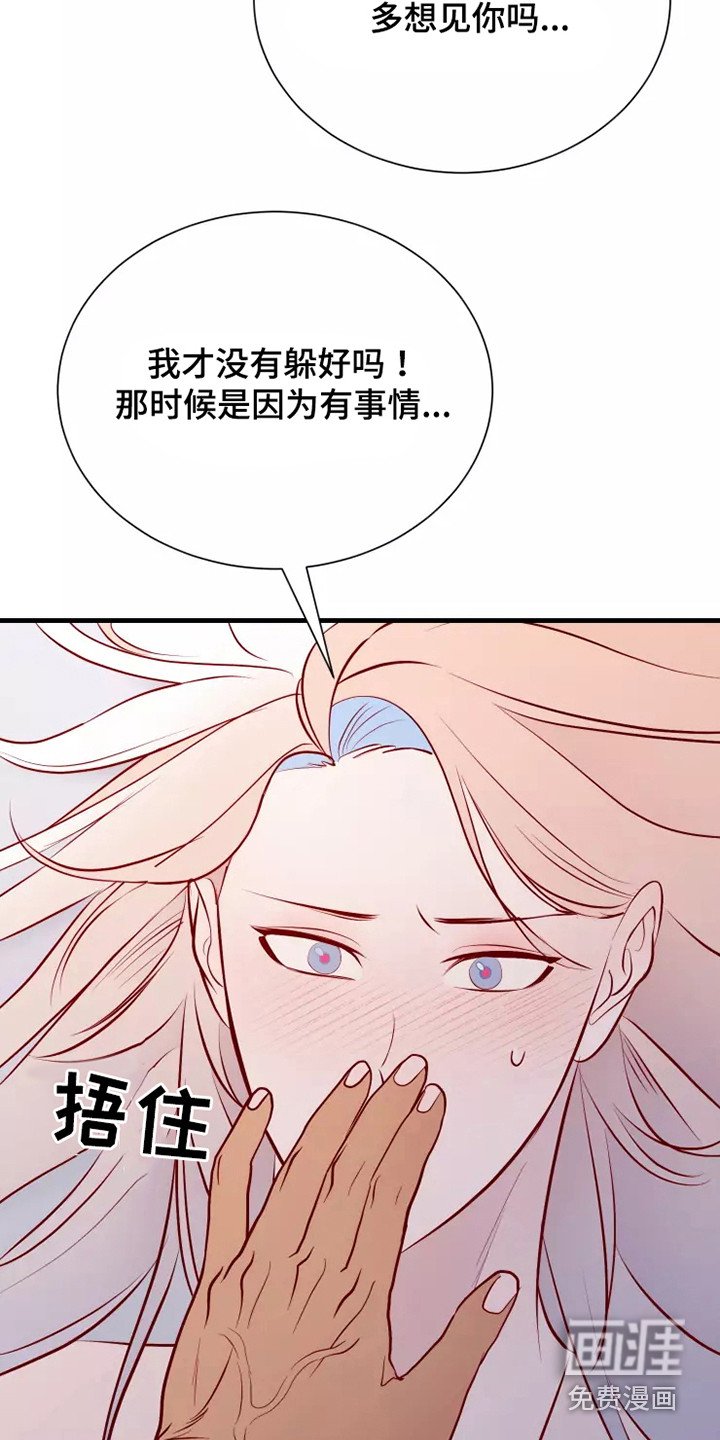 第52章：一见钟情