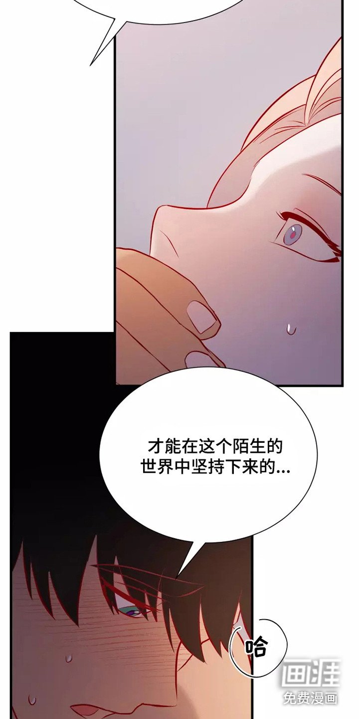 第52章：一见钟情