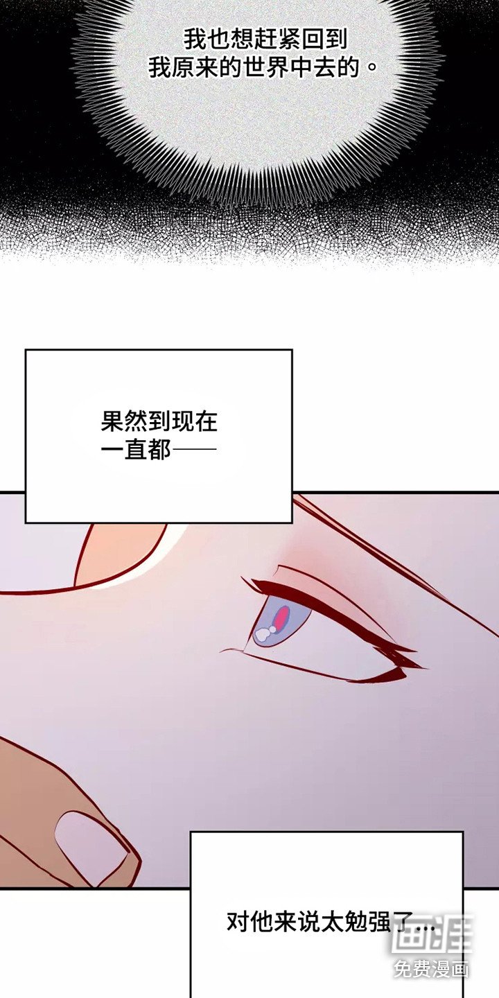 第52章：一见钟情