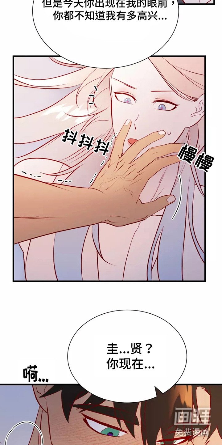 第52章：一见钟情