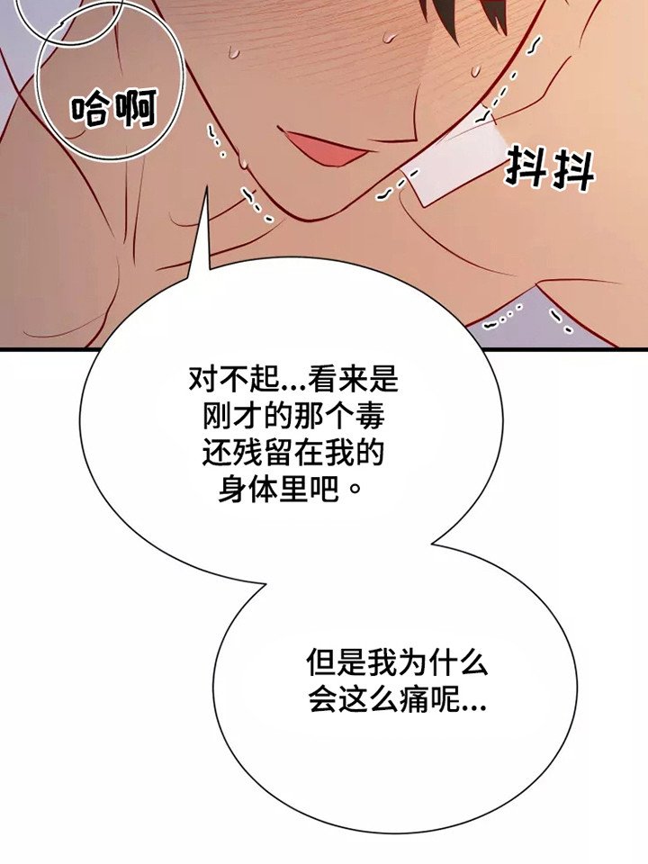 第52章：一见钟情