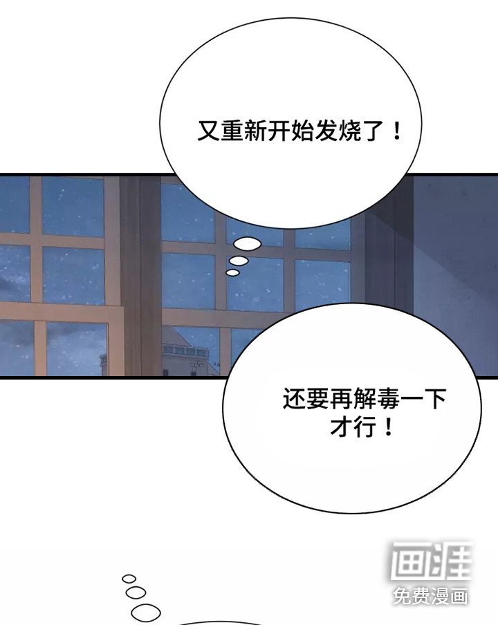 第52章：一见钟情