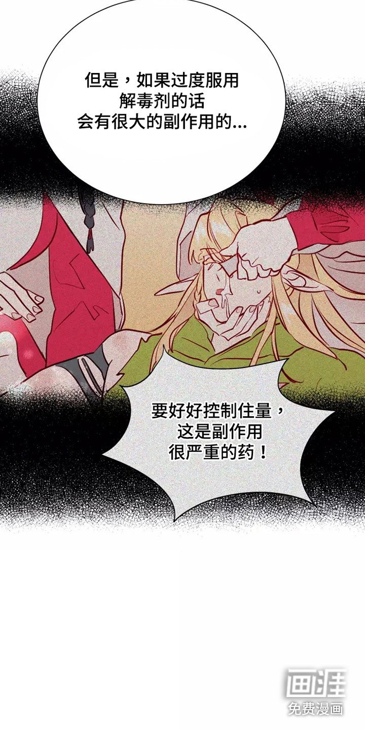 第52章：一见钟情