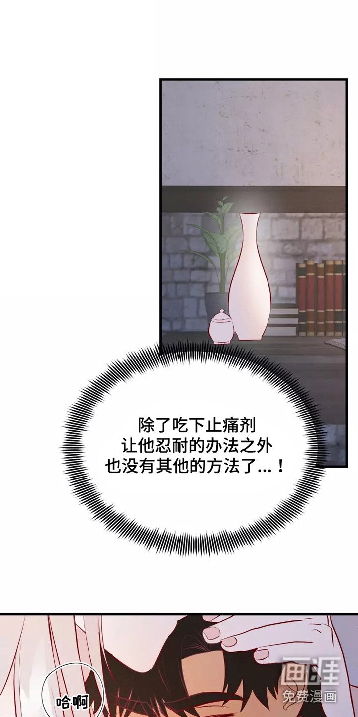 第52章：一见钟情