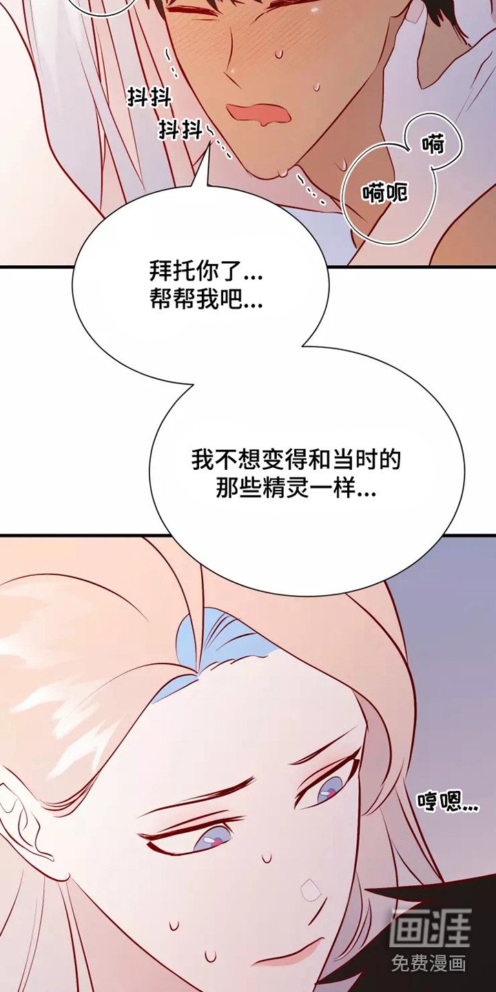 第52章：一见钟情