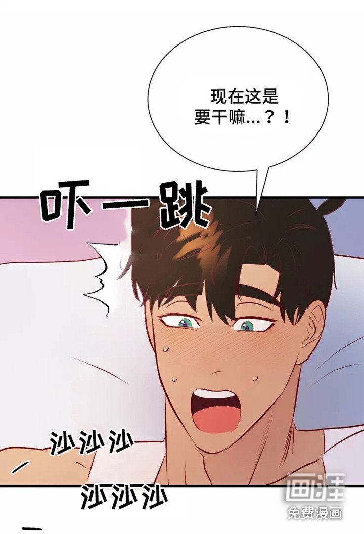 第52章：一见钟情