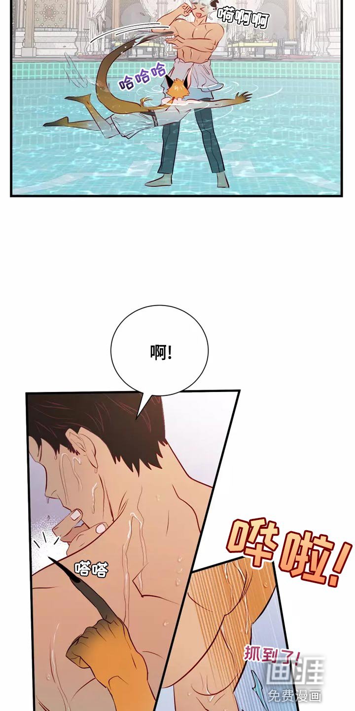 第60章：意外