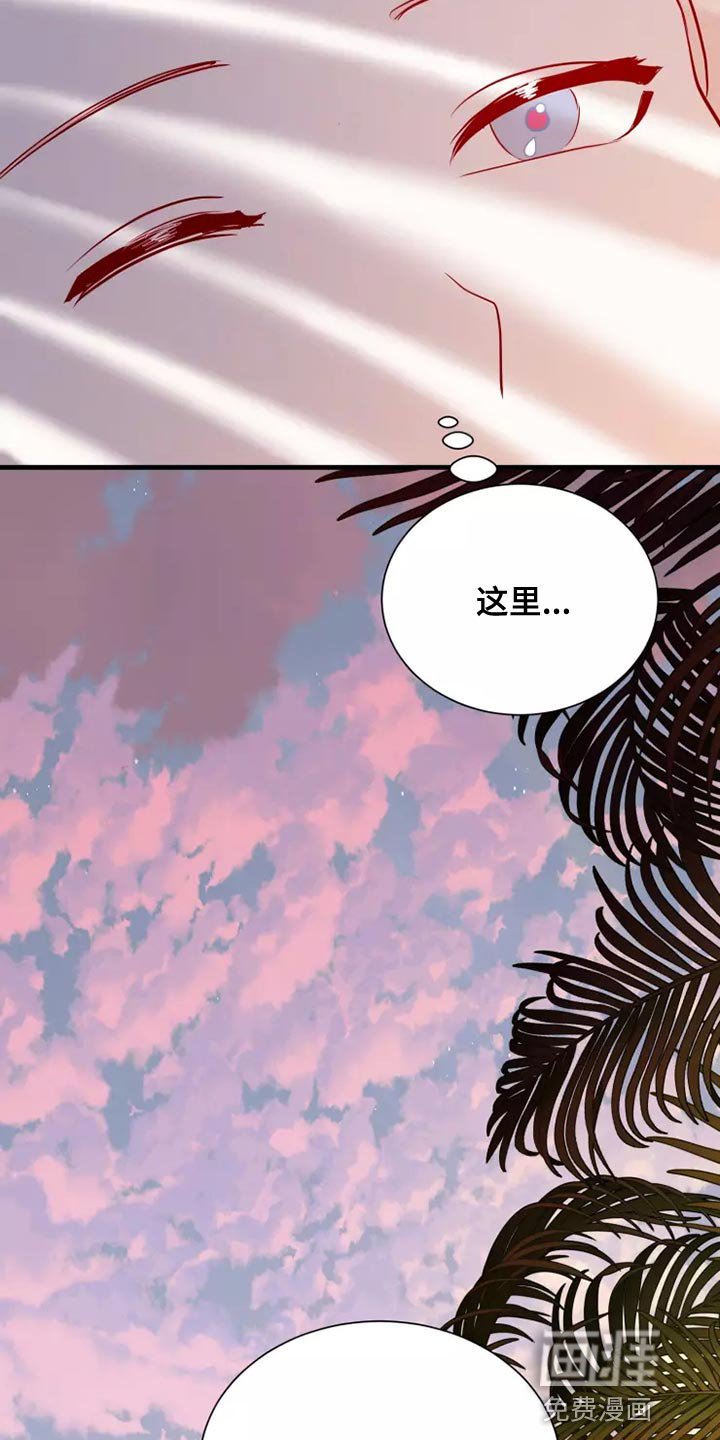 第62章：果然很像