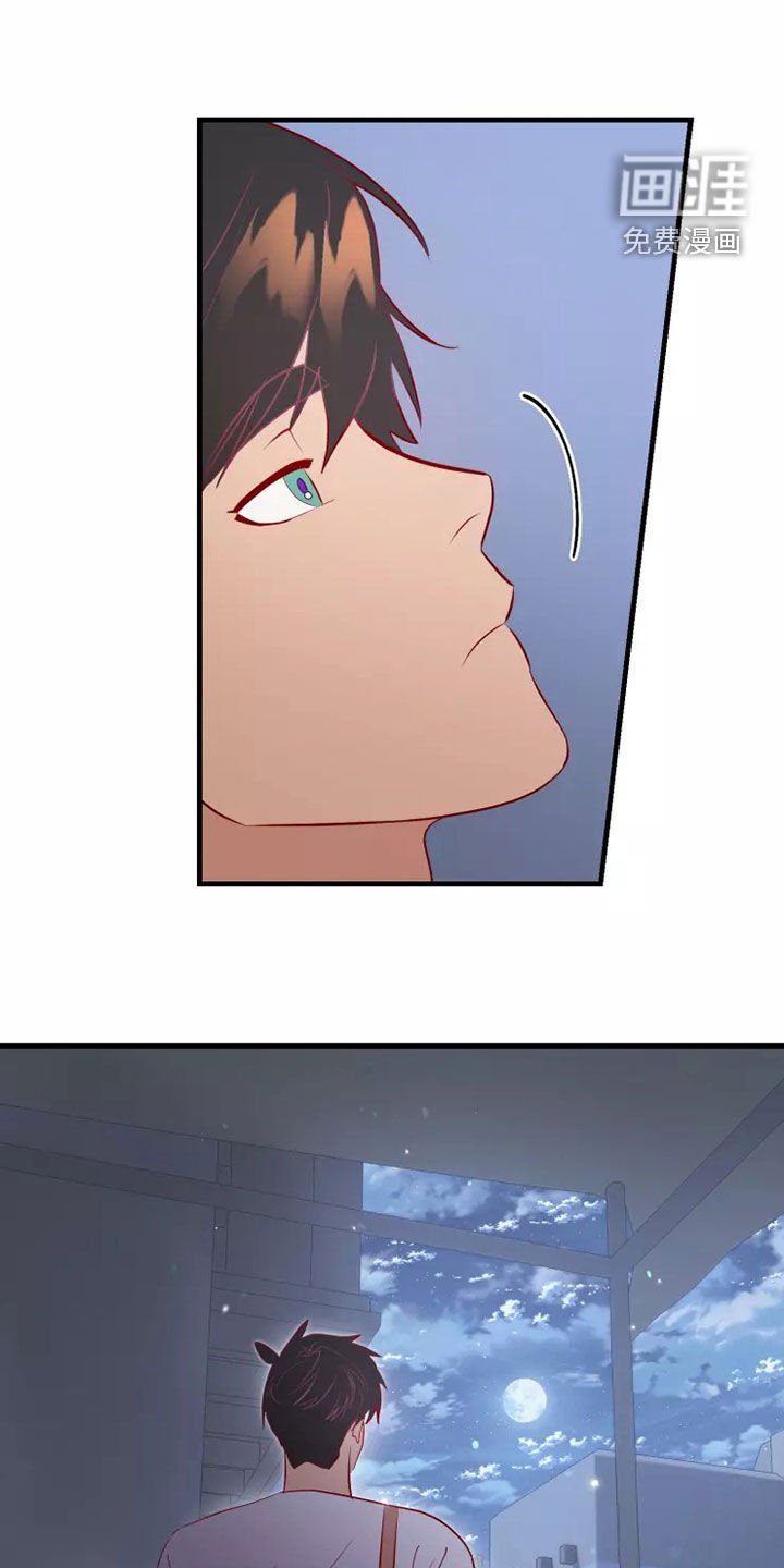 第65章：恋爱经验
