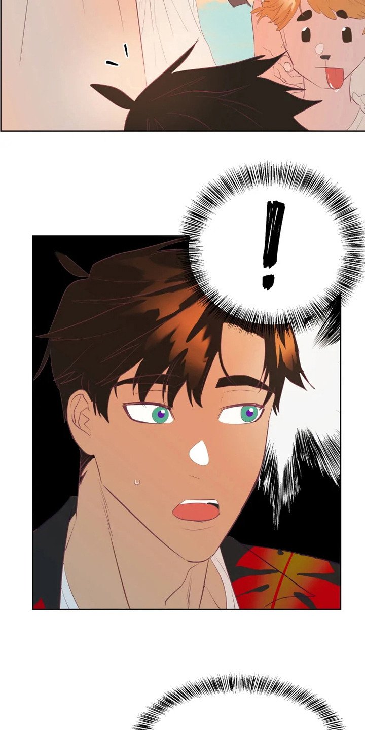 第7章：适应力
