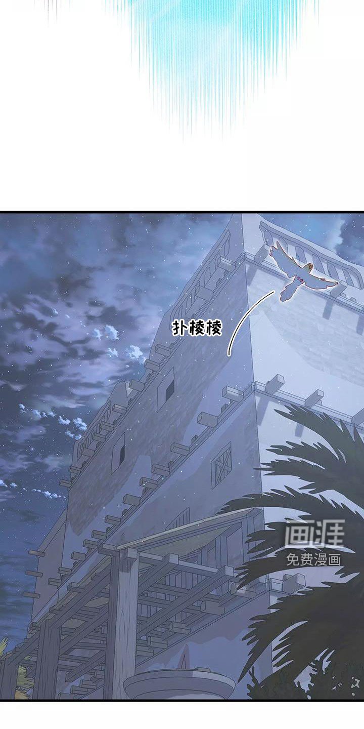 第79章：声音
