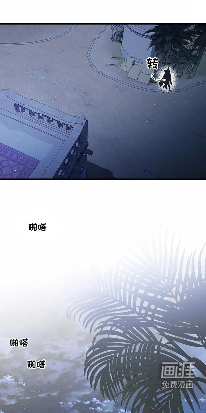 第79章：声音