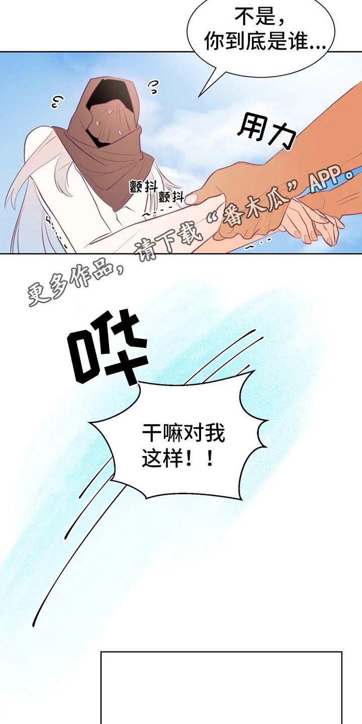 第8章：认错人