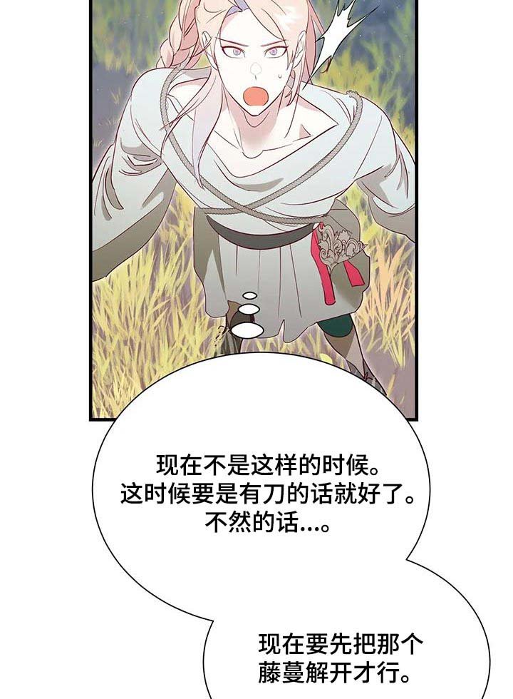 第91章：想办法
