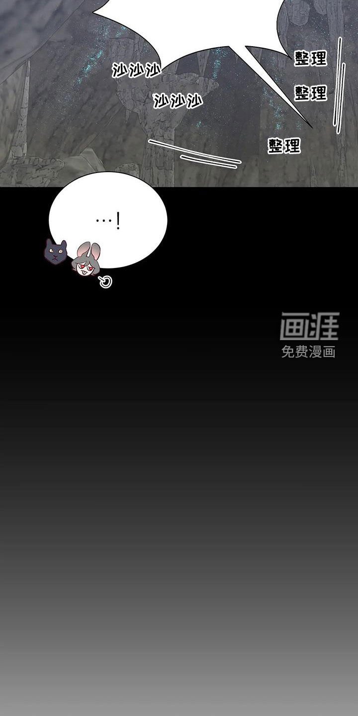 第97章：误会解除
