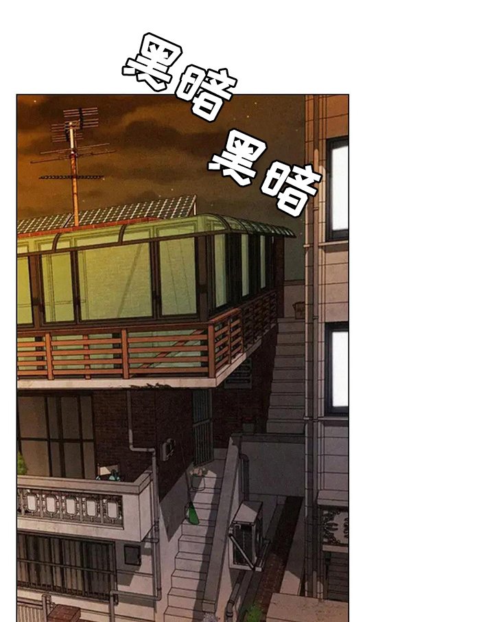 第23章：行为