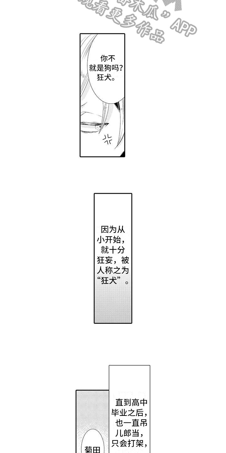 第11章：教训