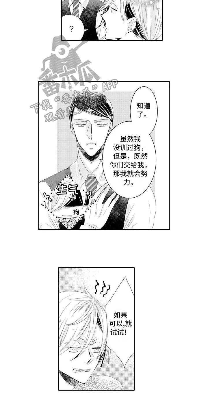 第11章：教训
