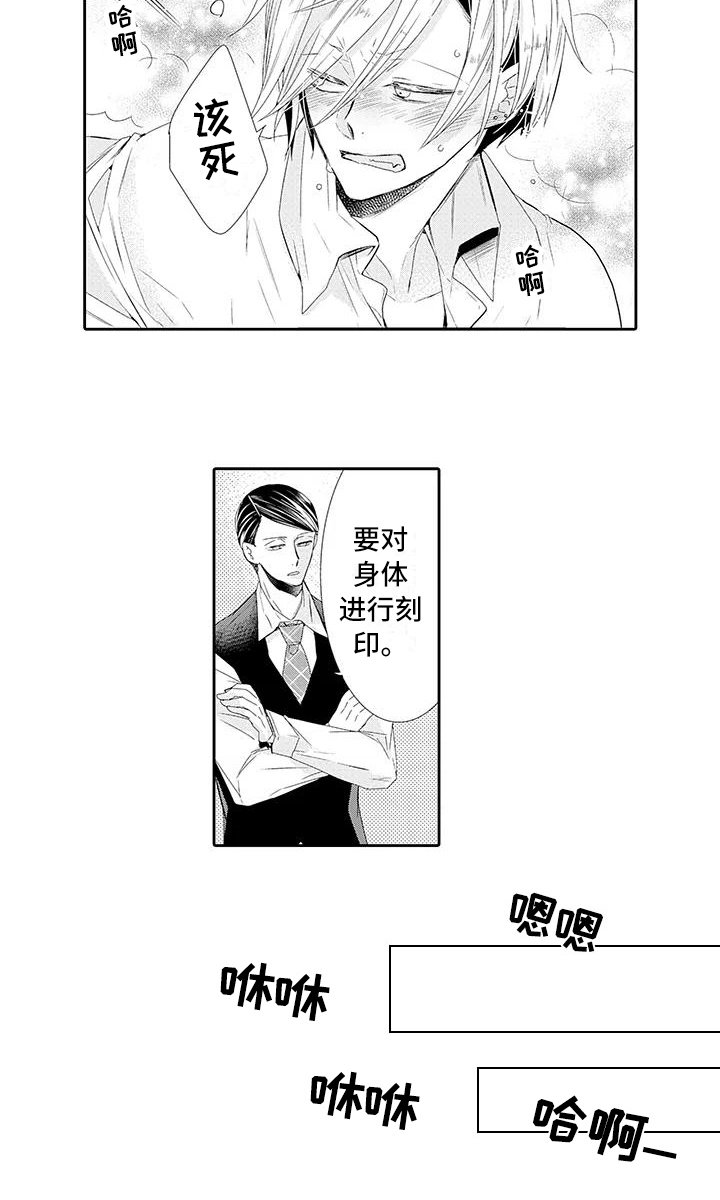 第11章：教训