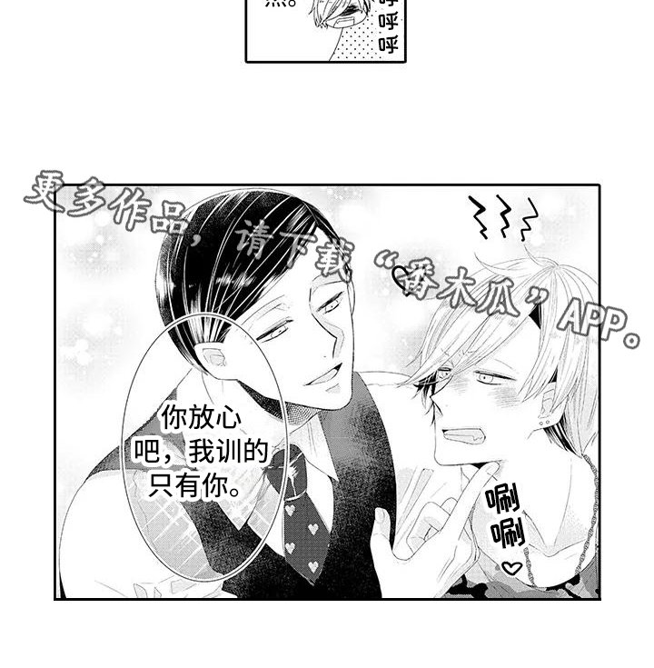 第14章：坦白