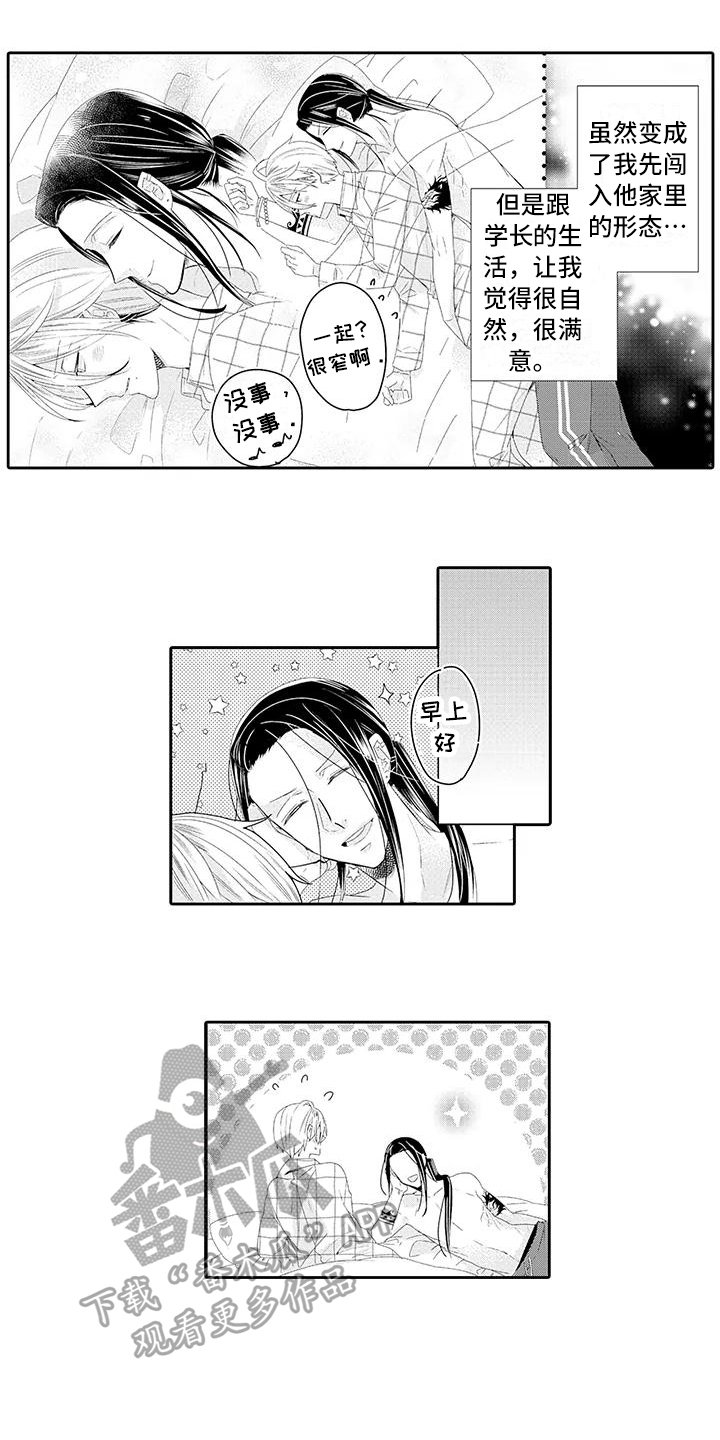 第16章：解释