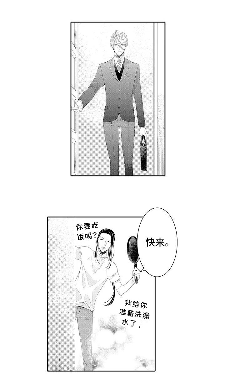 第16章：解释