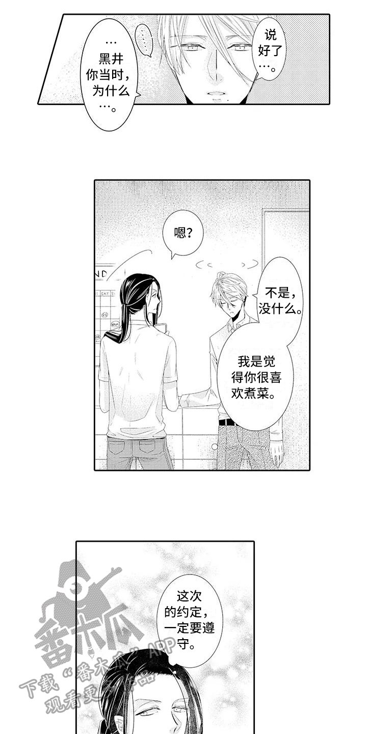 第16章：解释