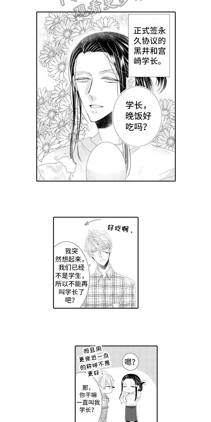 第17章：永久协议