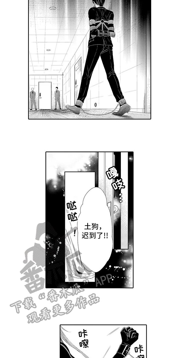 第18章：怀疑