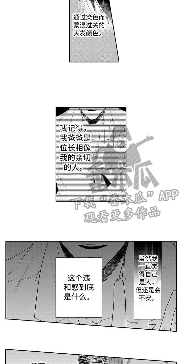 第19章：期待【完结】