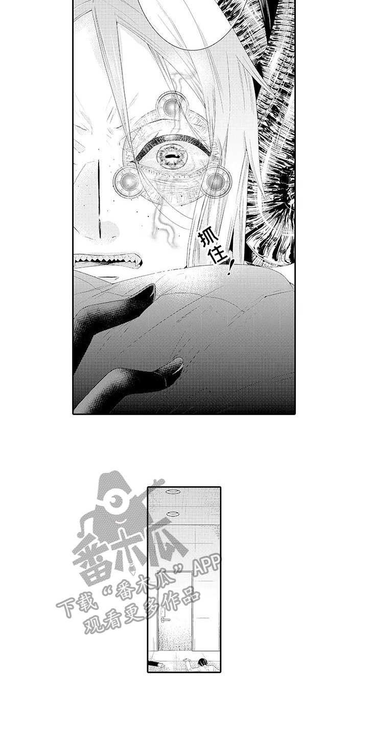 第19章：期待【完结】