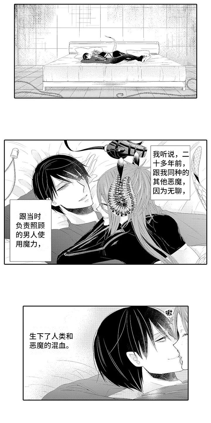 第19章：期待【完结】