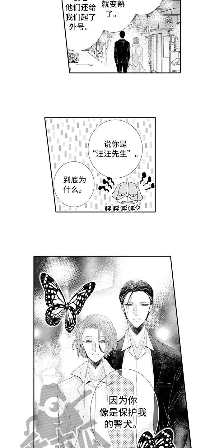 第4章：保护