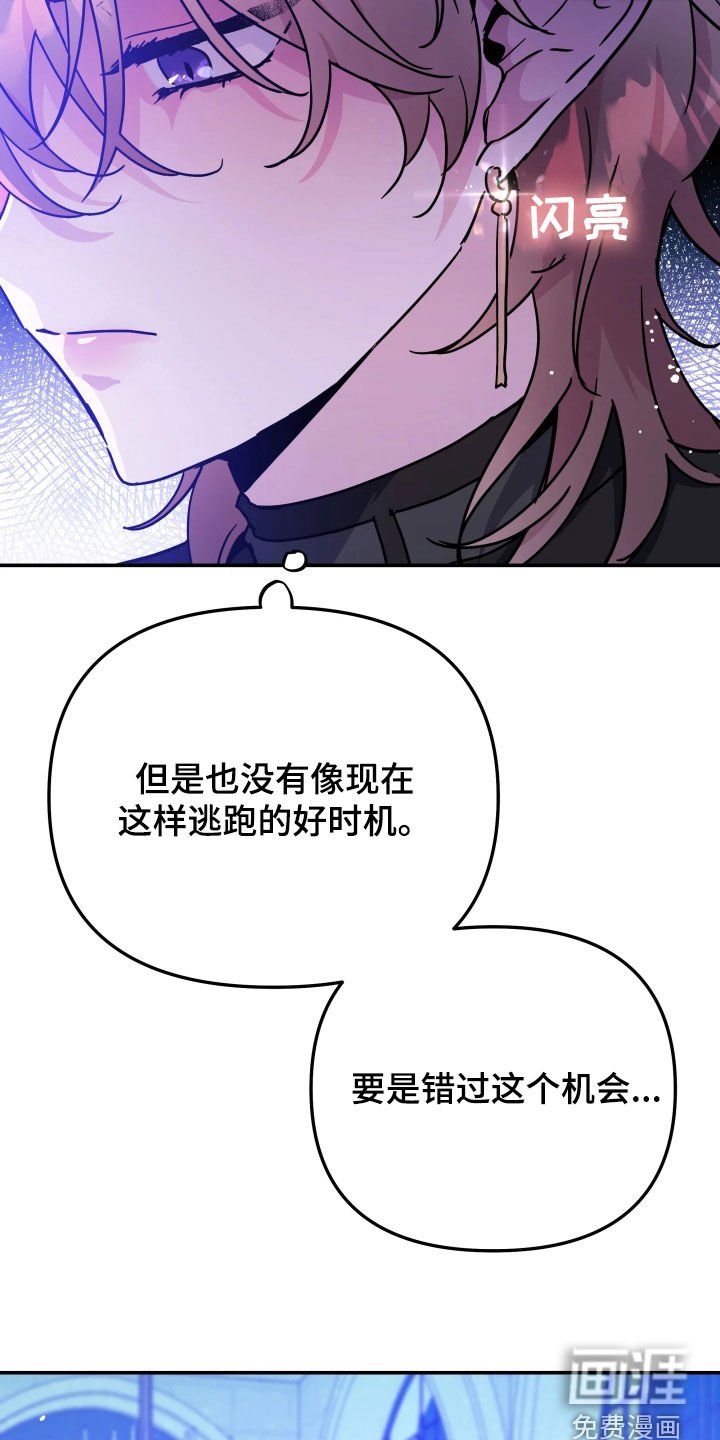 第108章：逃跑的时机