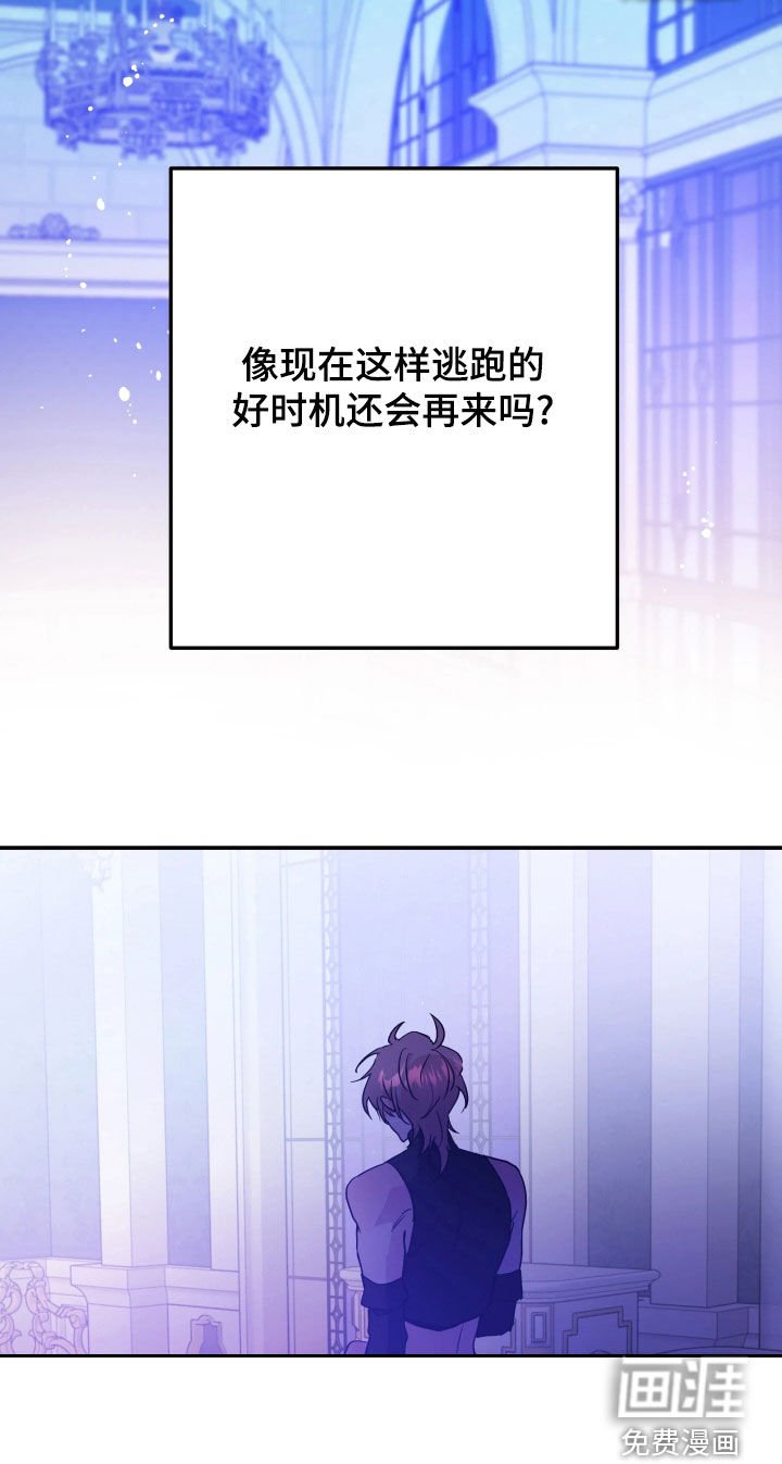 第108章：逃跑的时机