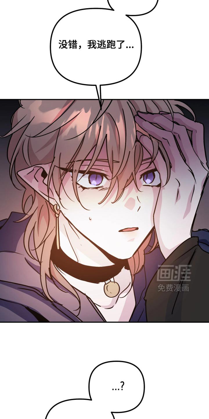 第114章：【番外】我逃跑了