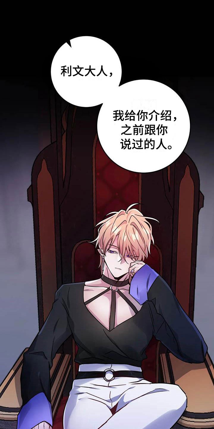 第13章：忠犬