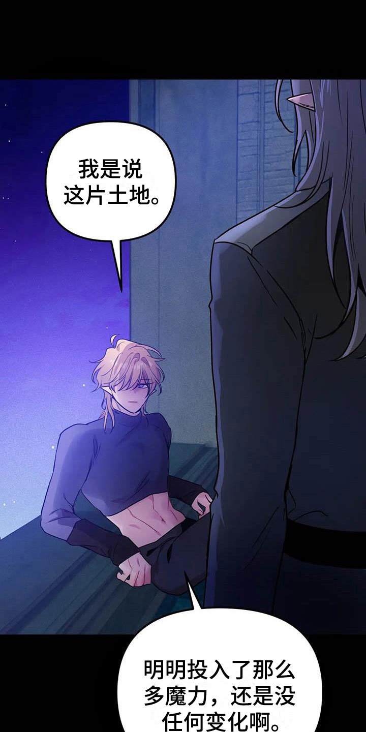 第17章：等待的果实