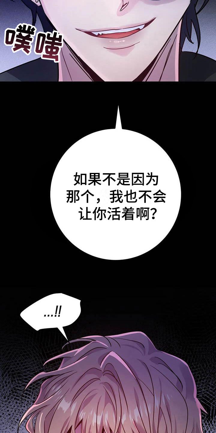 第19章：任人摆布
