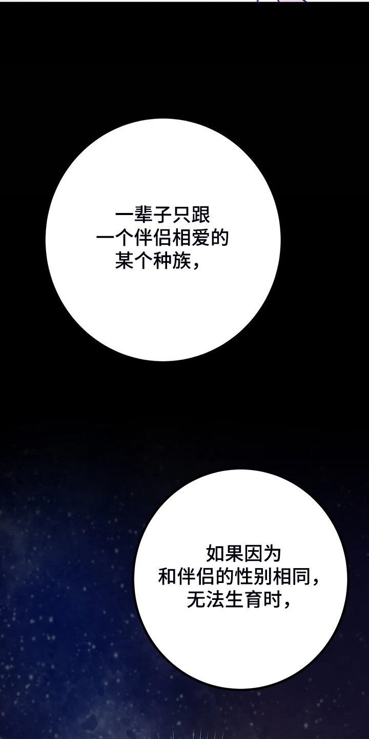 第22章：内加尔大人