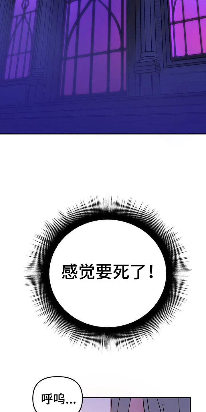 第3章：惊异的消息