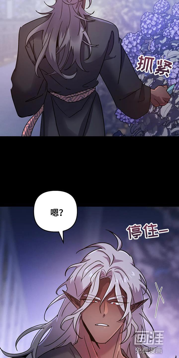 第41章：【第二季】你也只能理解我