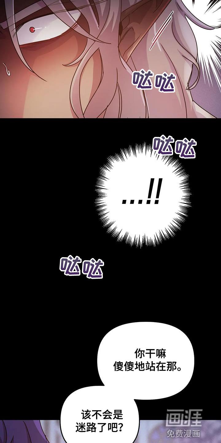 第41章：【第二季】你也只能理解我
