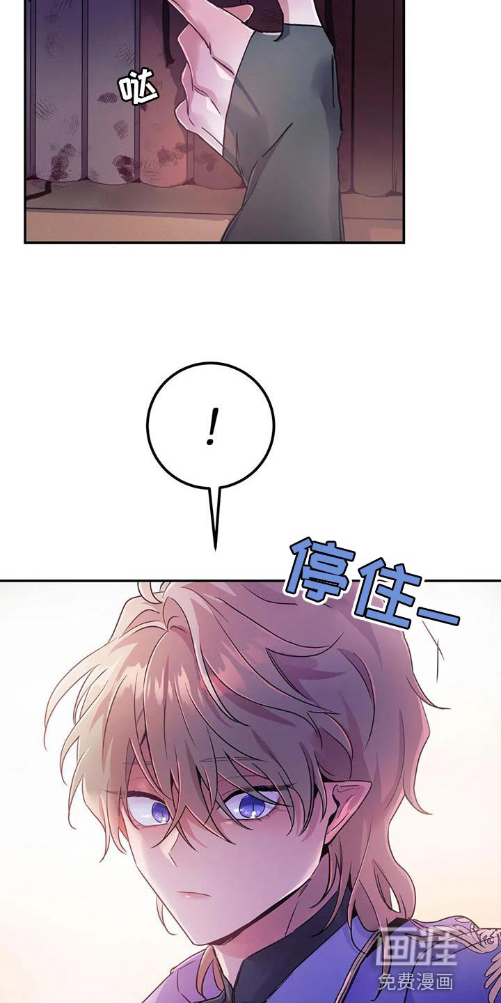 第48章：【第二季】书的味道