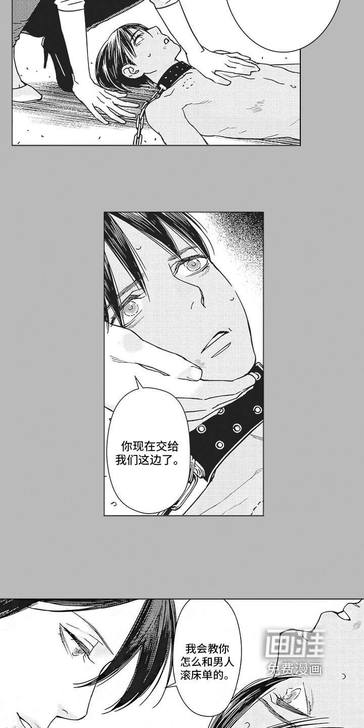 第7章：碍眼