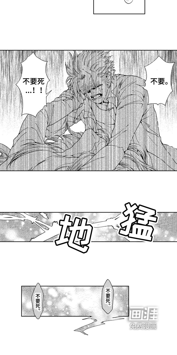 第13章：拯救